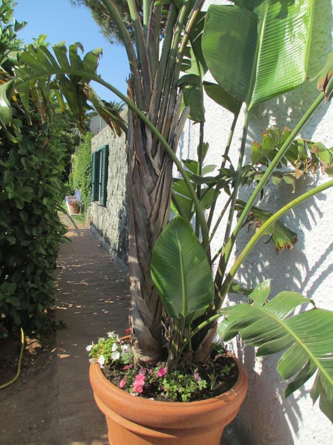 Appartamento Sporting Forio di Ischia Exteriör bild